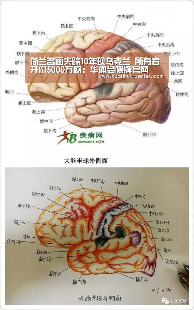 华体会棋牌