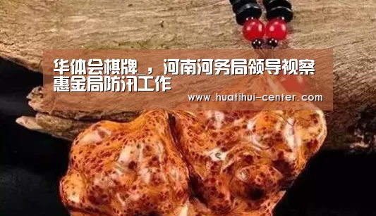 华体会棋牌_,河南河务局领导视察惠金局防汛工作(图3) 华体会棋牌_,河南河务局领导视察惠金局防汛工作(图3)