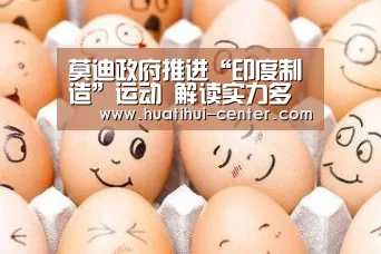 莫迪政府推进“印度制造”运动 解读实力多少（图）“HTH”