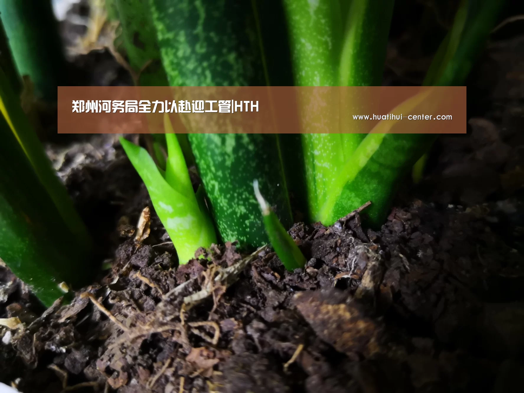 郑州河务局全力以赴迎工管|HTH